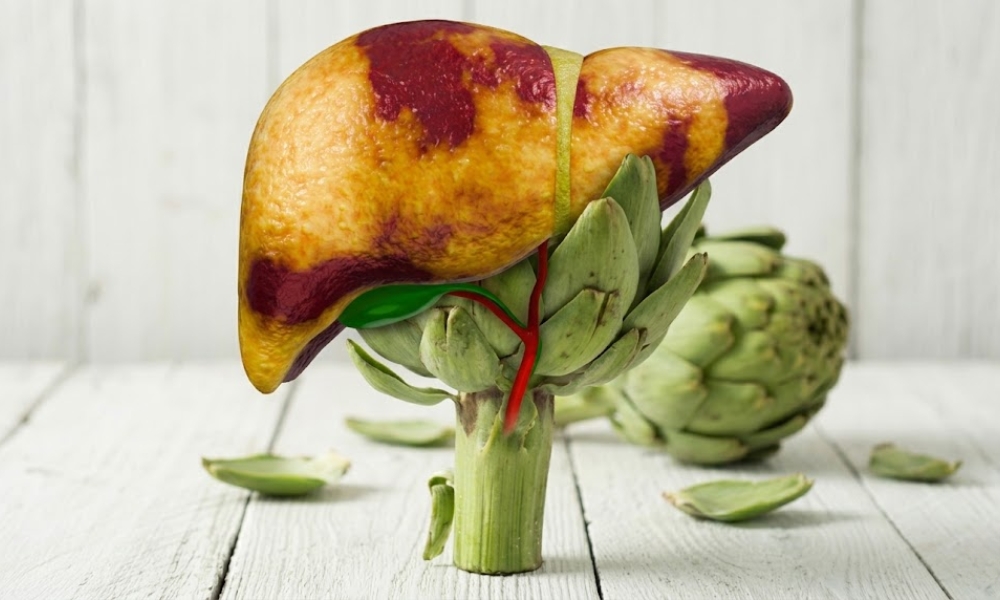 Najbolji čistač jetre – suplementi koji se najčešće koriste (silimarin, artičoka, NAC)