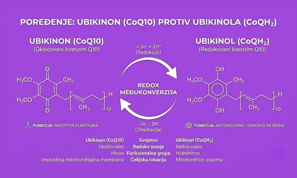 Ubiquinone vs Ubiquinol